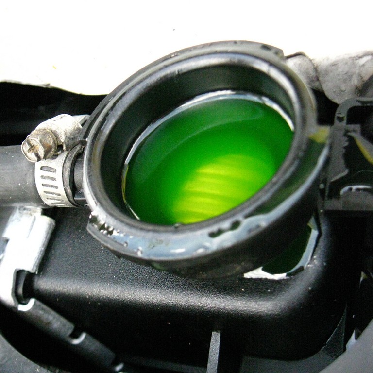 Fluid Flushes